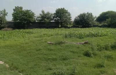 9 Kanal House & Open Land for Rent – G-16/1, Islamabad