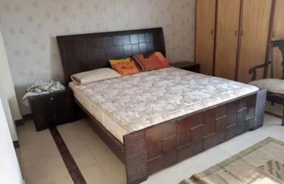 Flat For Rent Full Furnished