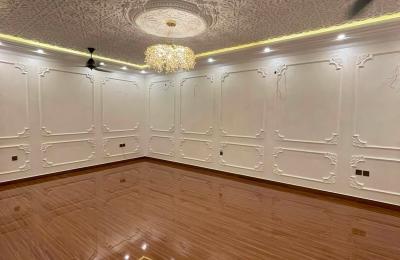 20 Marla royal  Palace looking and outstanding new house for sale in DHA  Multan
