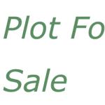 For Sale